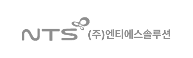 엔티에스