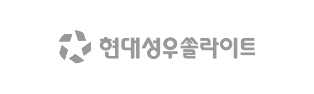현대성우쏠라이트
